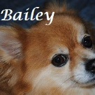 Bailey .2002-2015